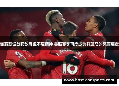 谢菲联迎战强敌展现不屈精神 英超赛季再度成为升班马的亮丽篇章