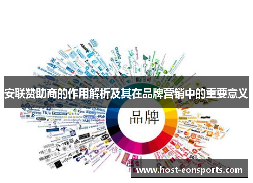 安联赞助商的作用解析及其在品牌营销中的重要意义